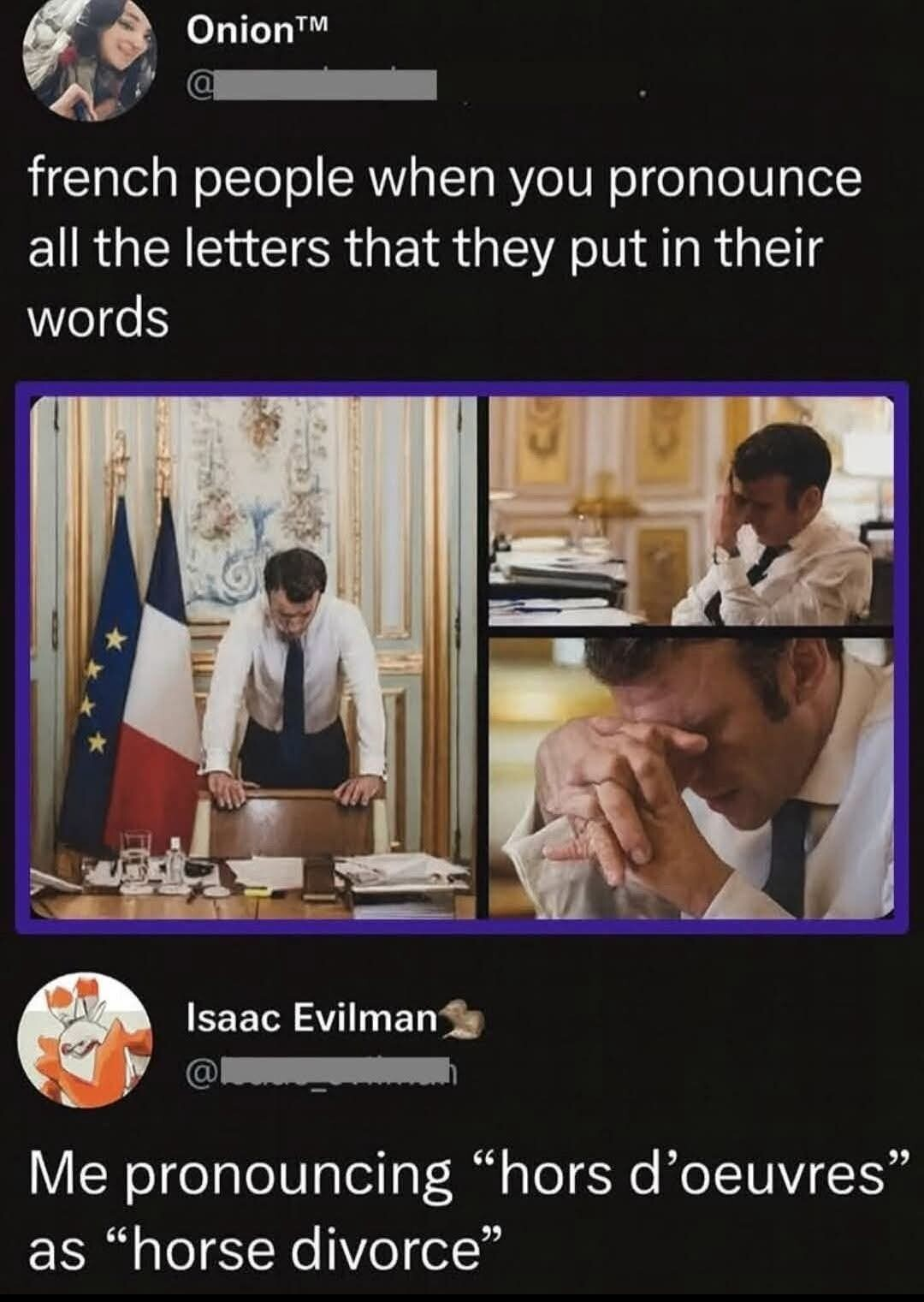 oiseaux