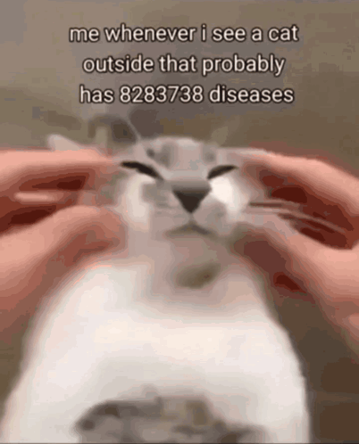 ⠀⠀⠀
