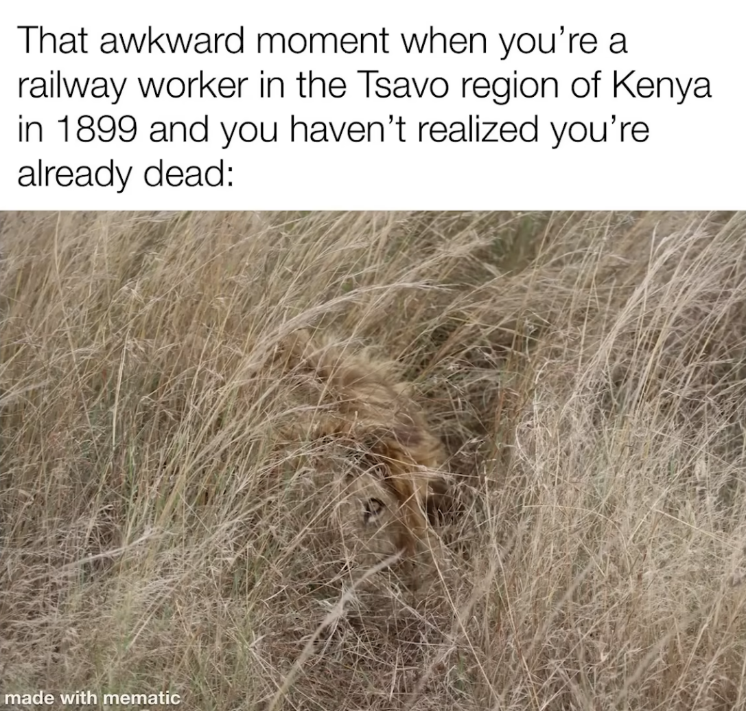 ...
