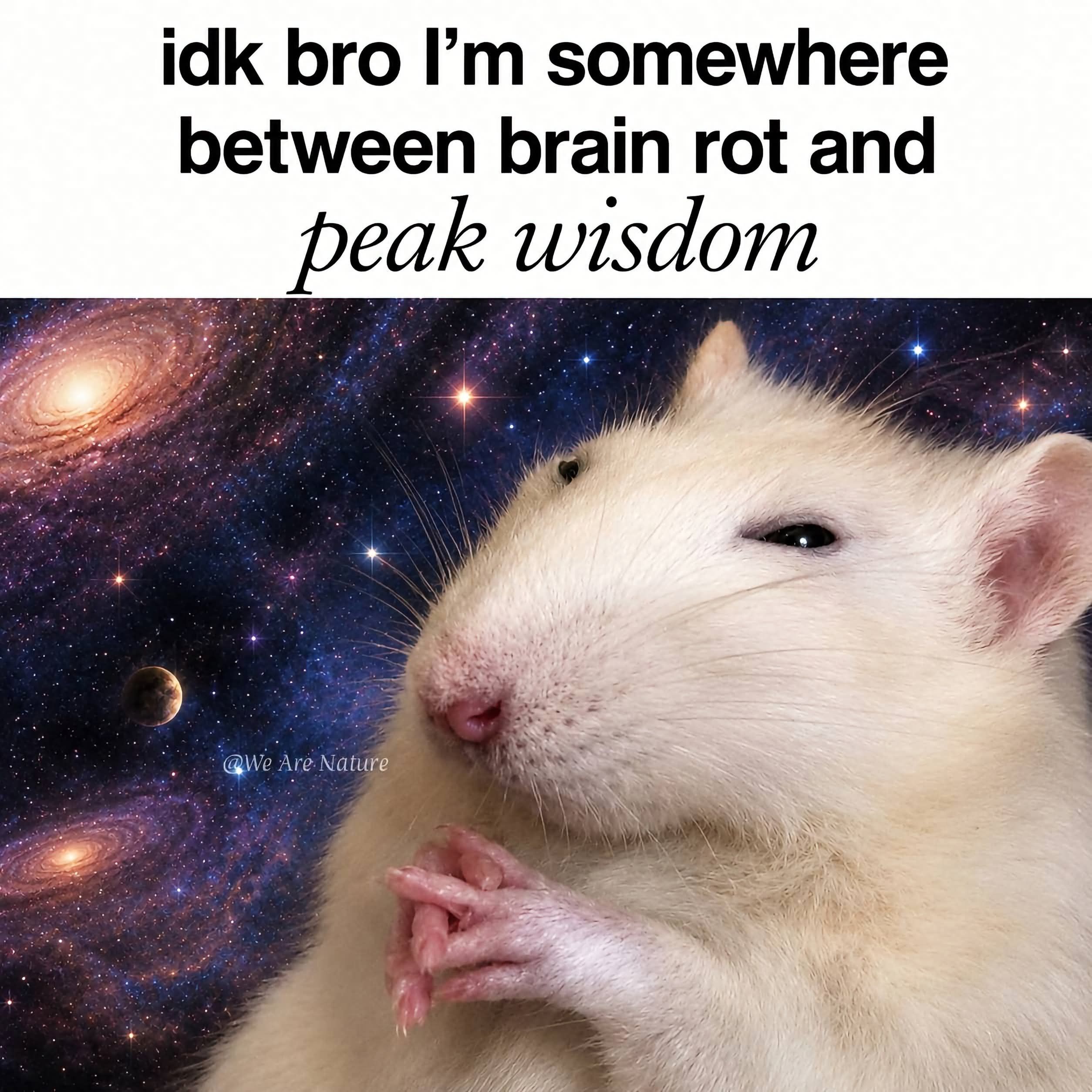 ***