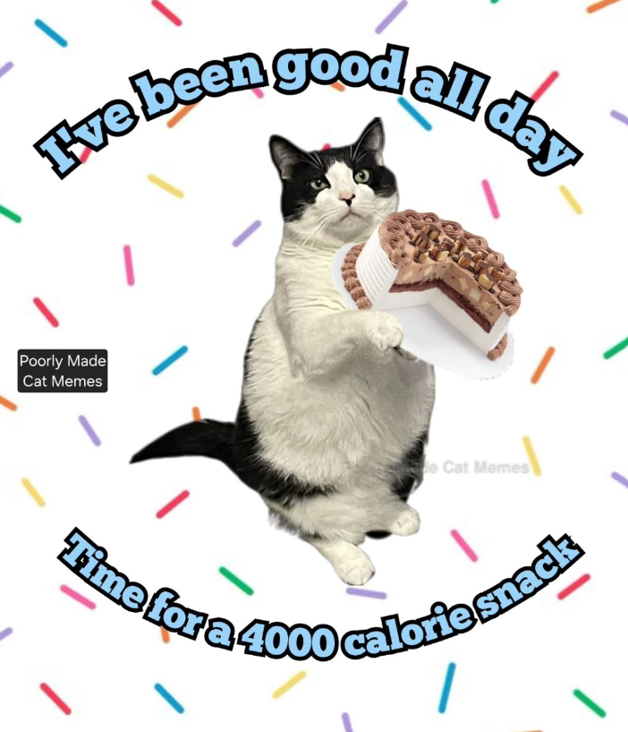 I am in my dadbod area