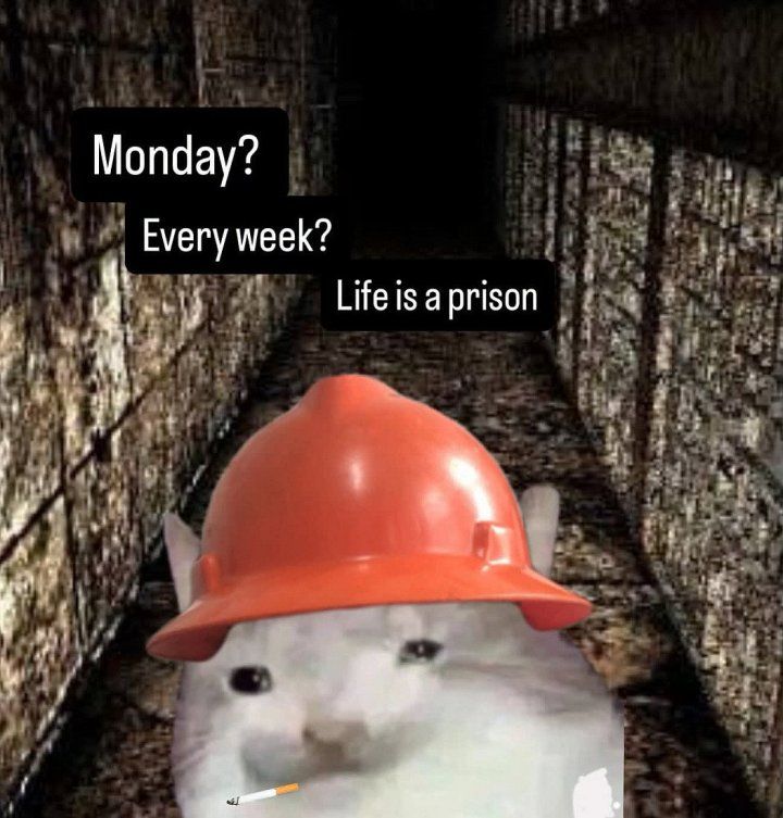 Its monday my comrade