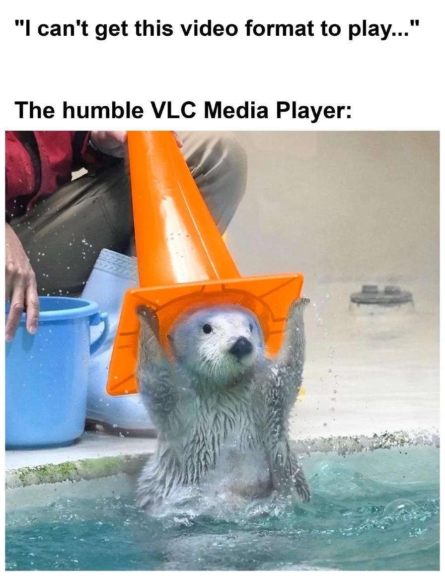 ⠀⠀⠀