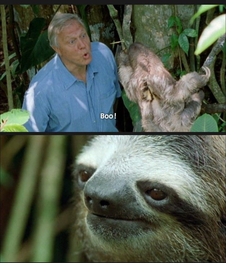 "I have seen things, David. The jungle changes a man in ways you couldn't comprehend".