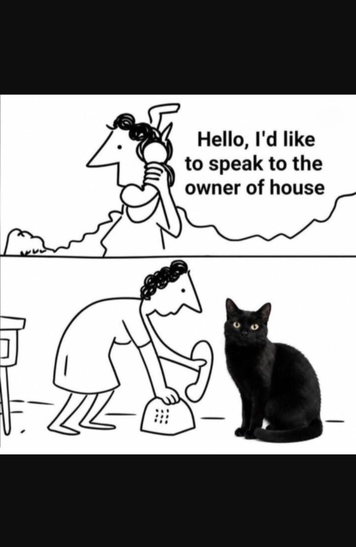 hihi