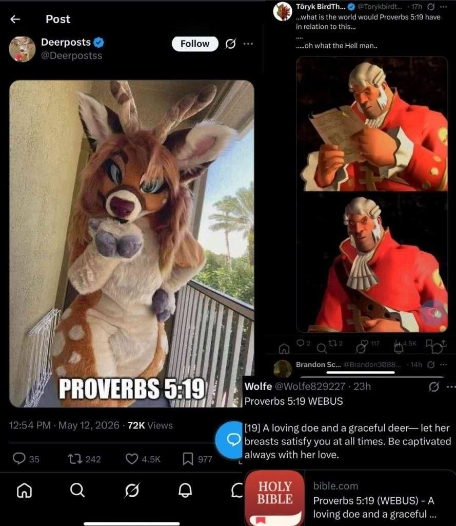 name a more iconic pair than furries and tf2, i will wait