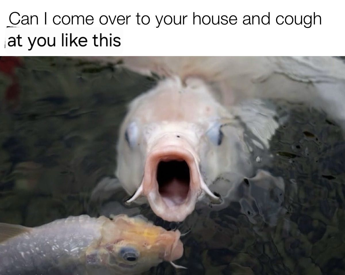 *Khoff* *khoff* *khoff*