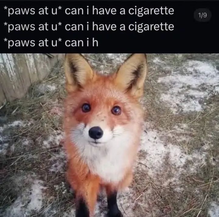 500 cigarettes