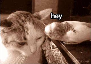 When someone can't leave you alone.