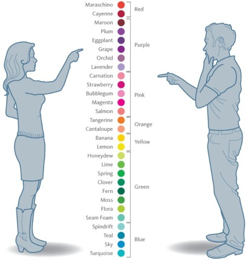 Differences how men and women see colors