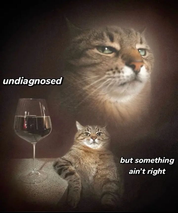 ಠ ω ಠ