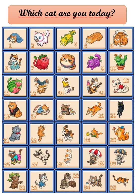 Solid Meow-Meow