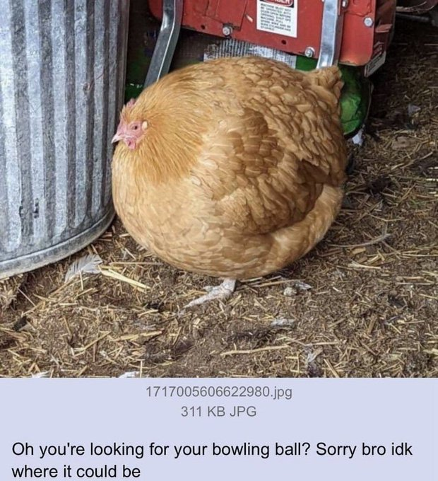 Brb
