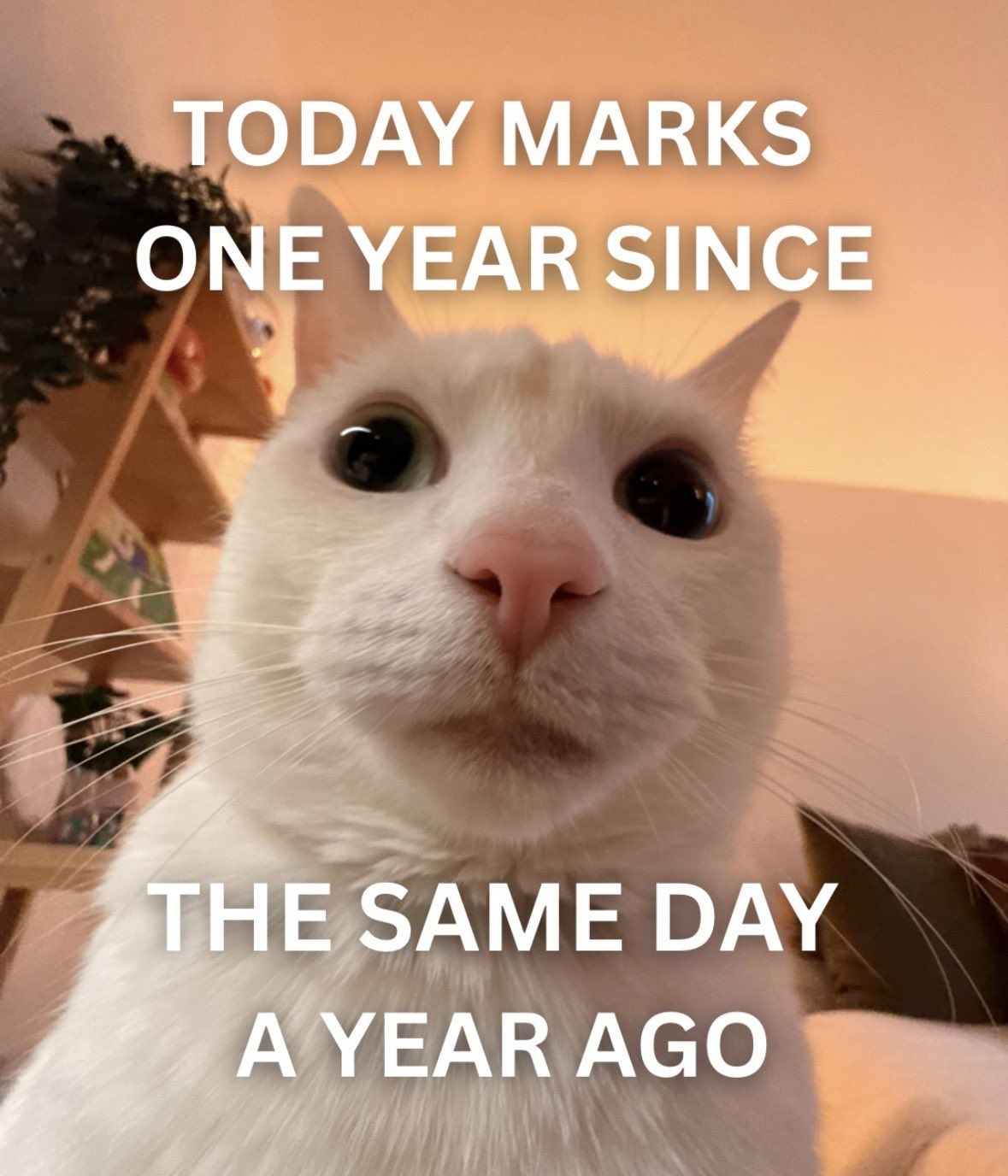 ***