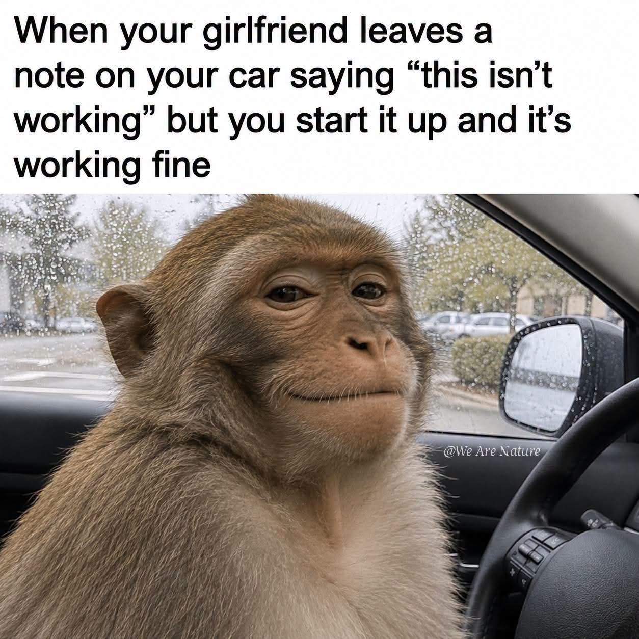 ***