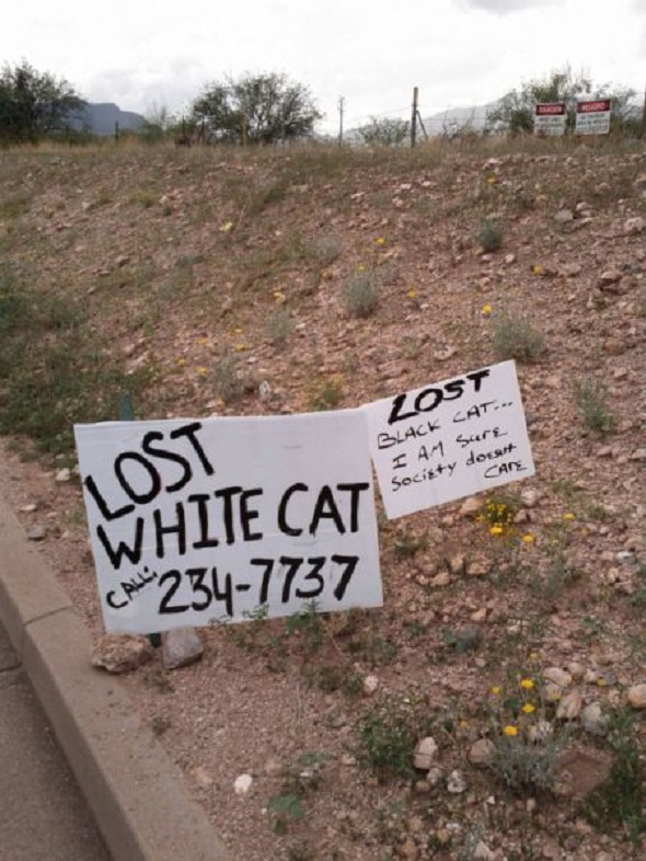 Home grown racism