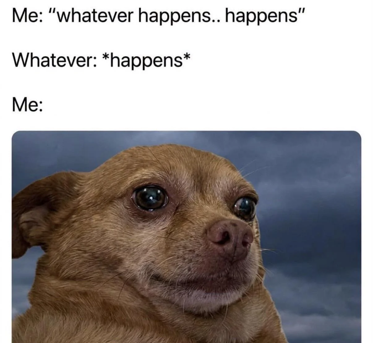 ⠀⠀⠀⠀⠀⠀⠀⠀⠀⠀⠀