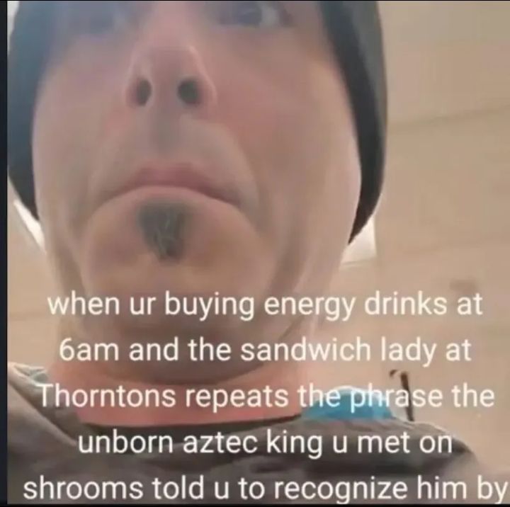 ( ● __ ● )