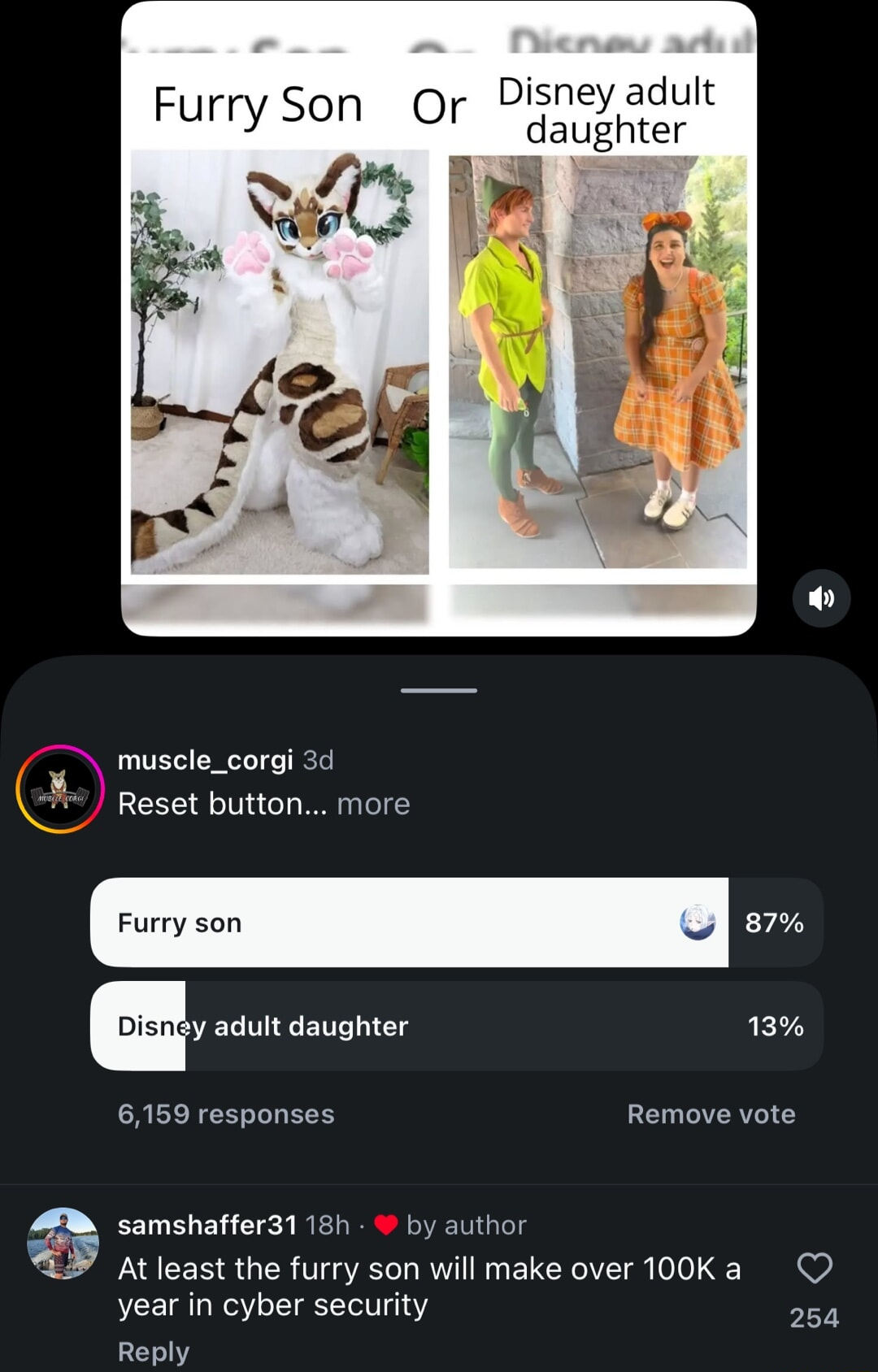 I never met any furry in IT, this is just yet another narrative that's being pushed aggressively