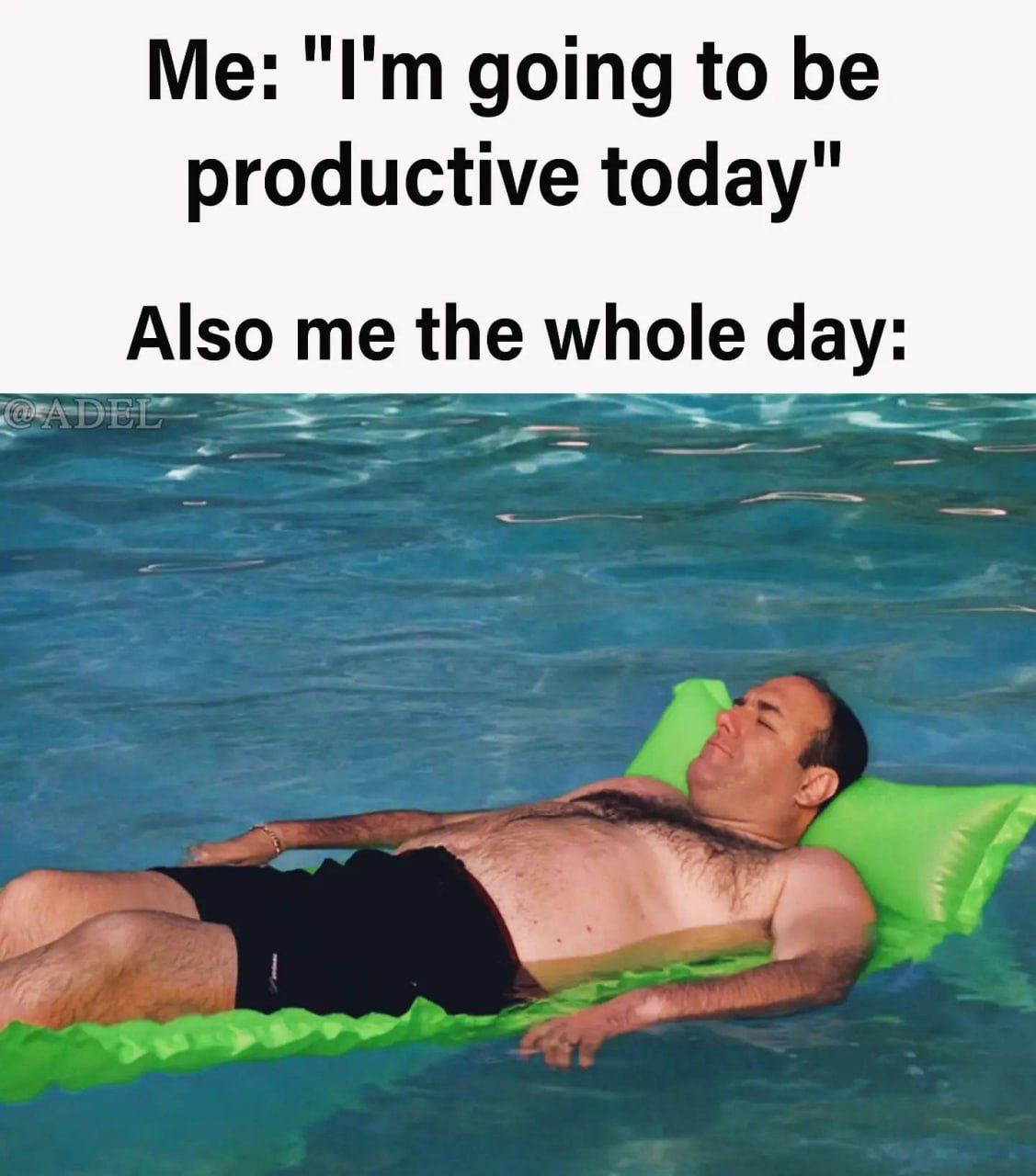 I'm on vacation, wasn't fully sober since saturday morning