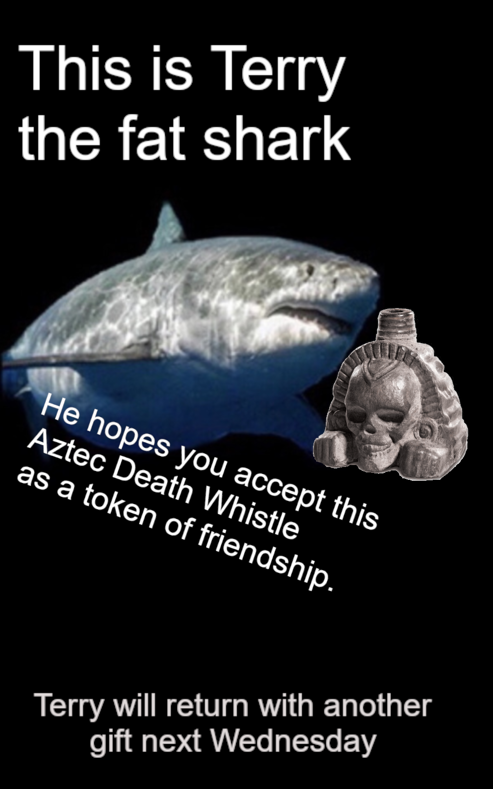 ⠀⠀⠀