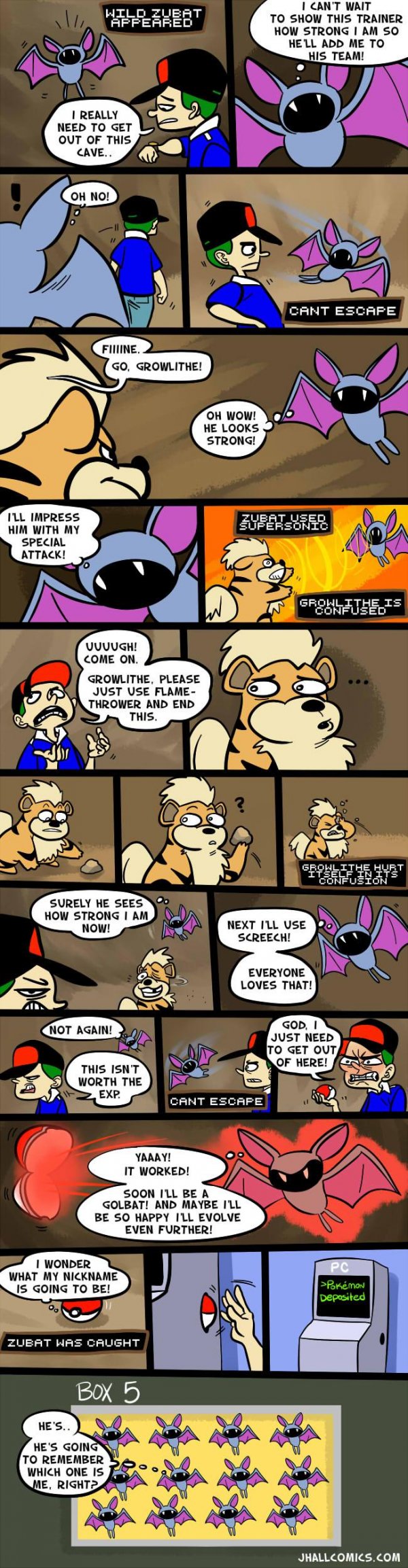 That poor zubat...