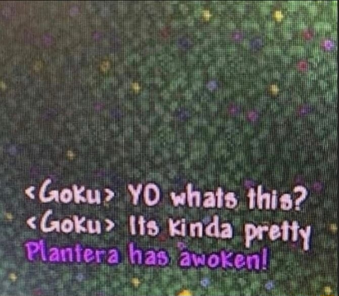 ⠀⠀⠀