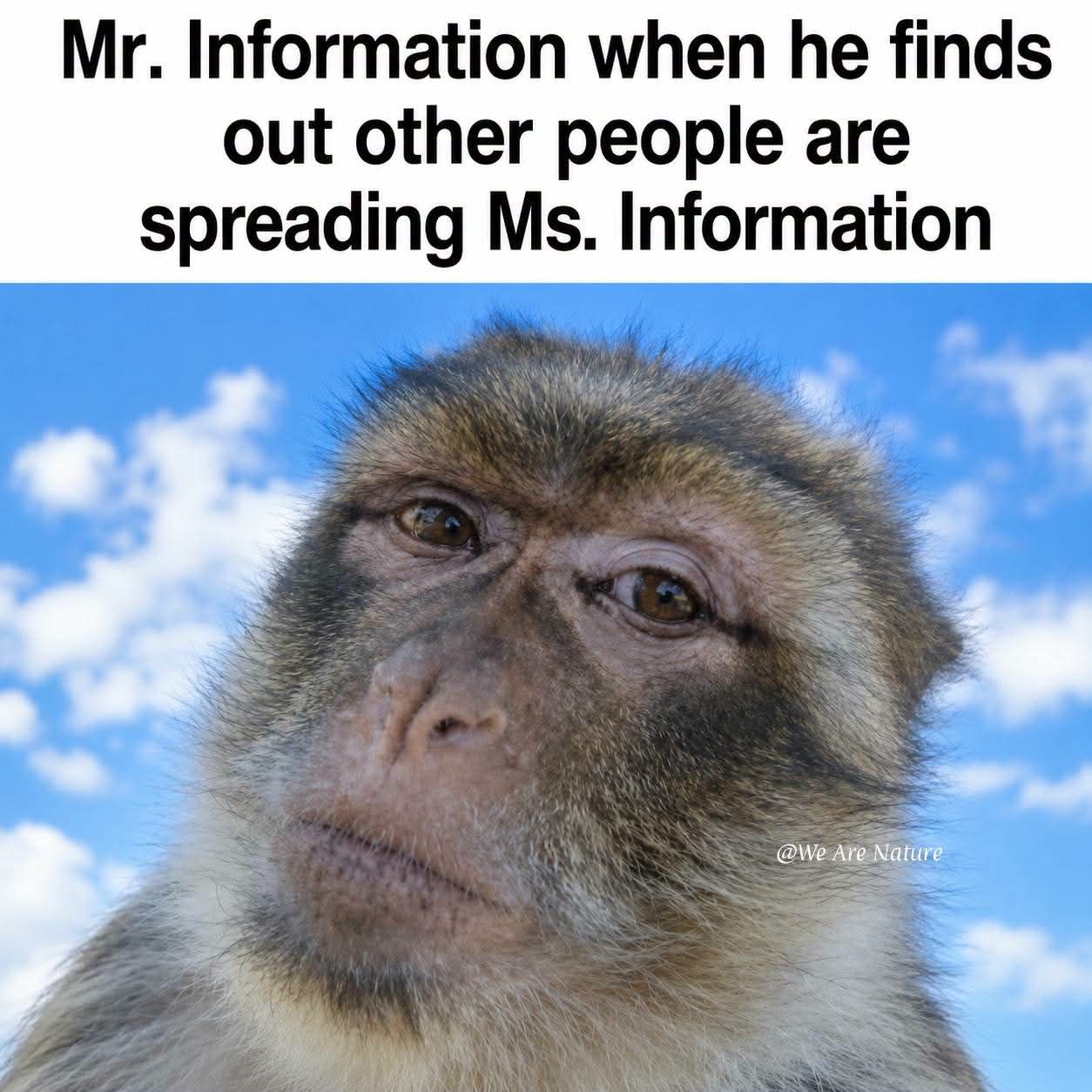 ***