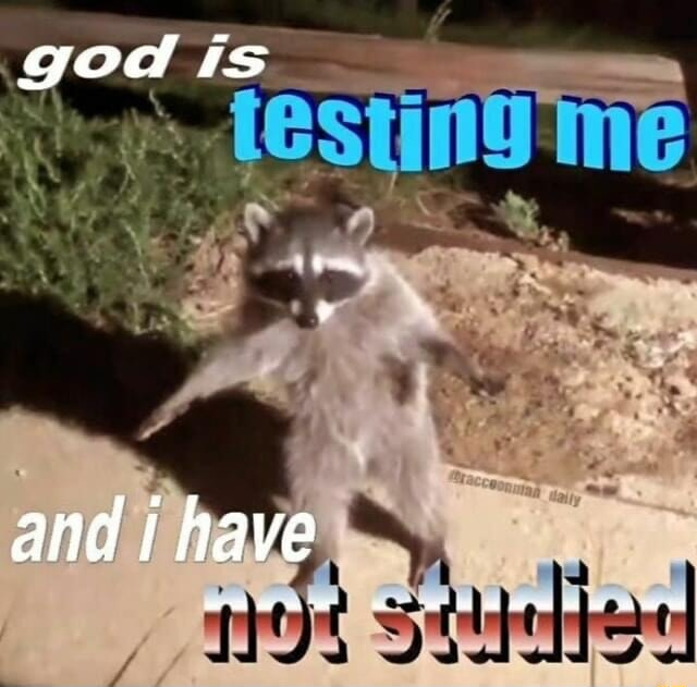 ⠀⠀⠀