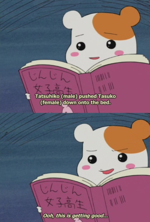 Hamtaro you perv.