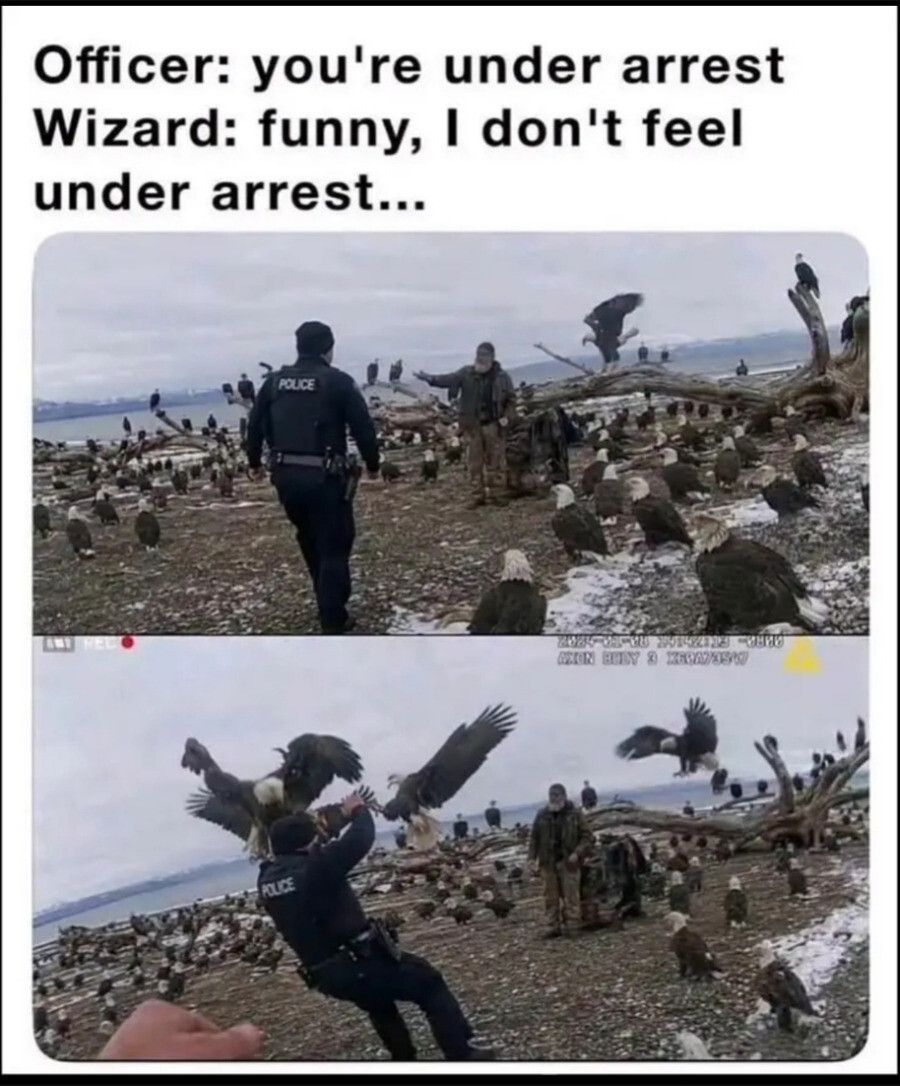 Birdemic