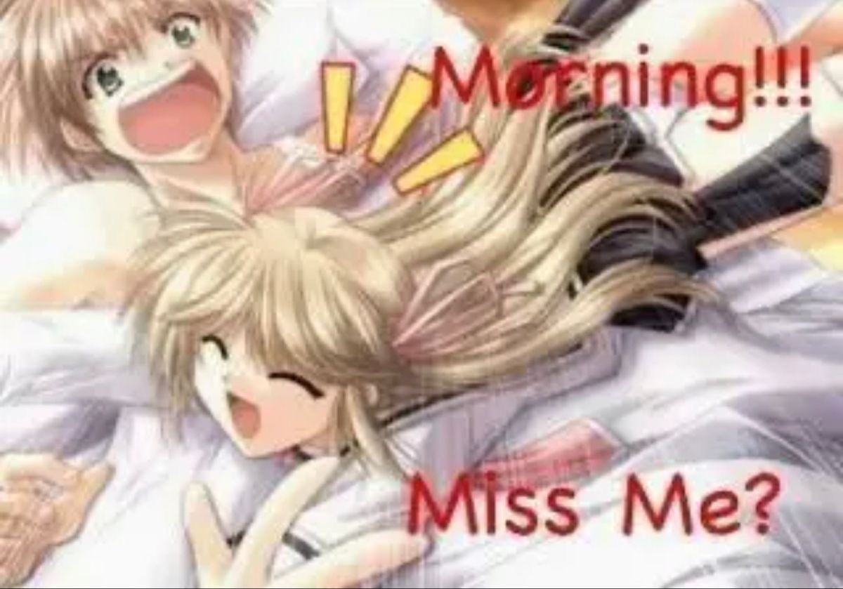 GM ^^