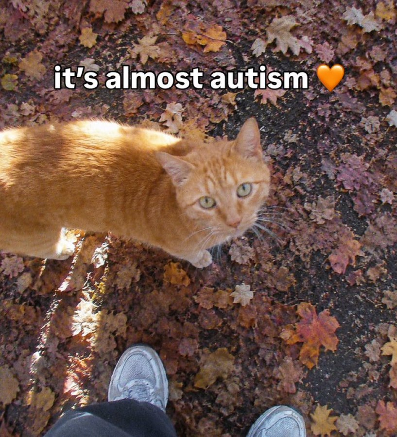 It's that time of year again