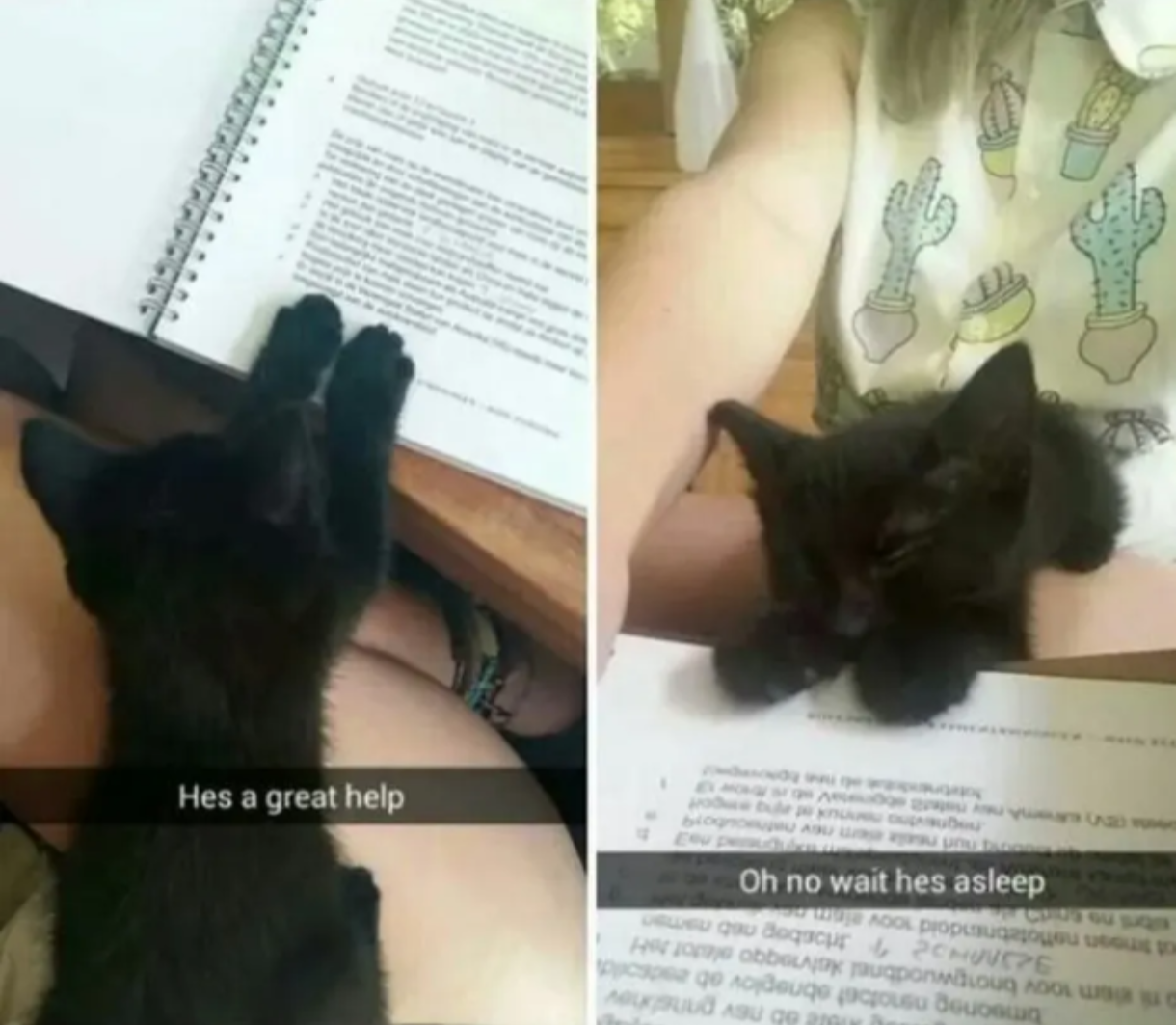 Useless