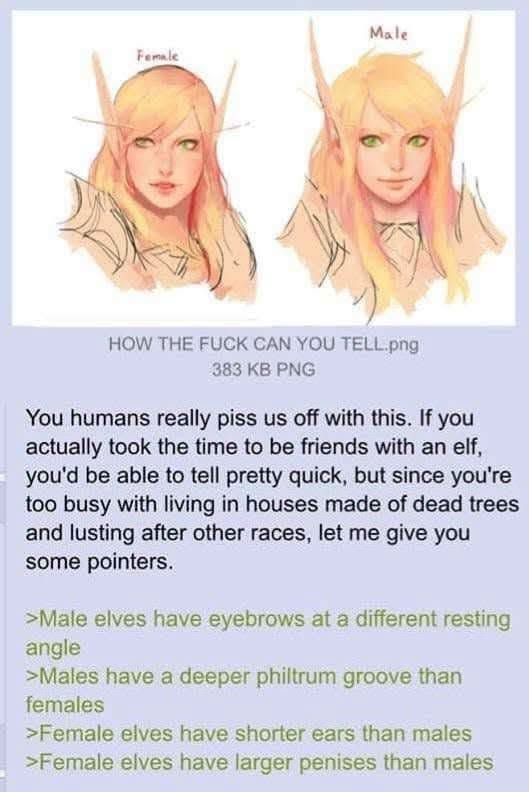 elves