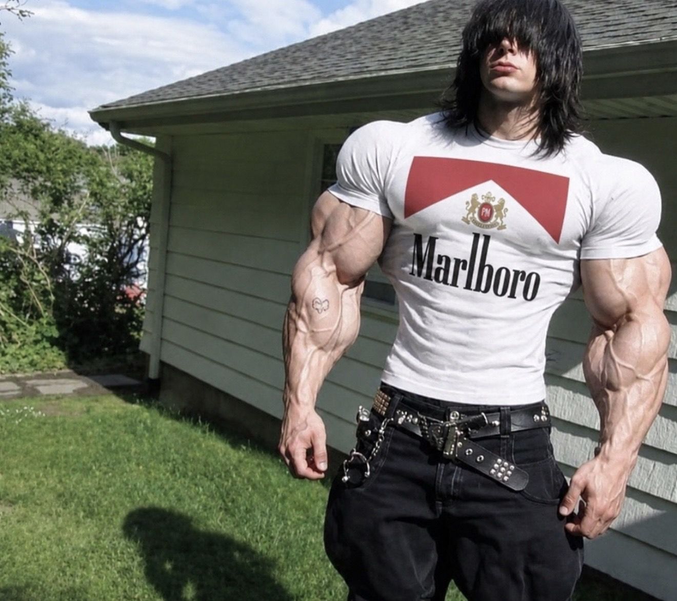 face reveal