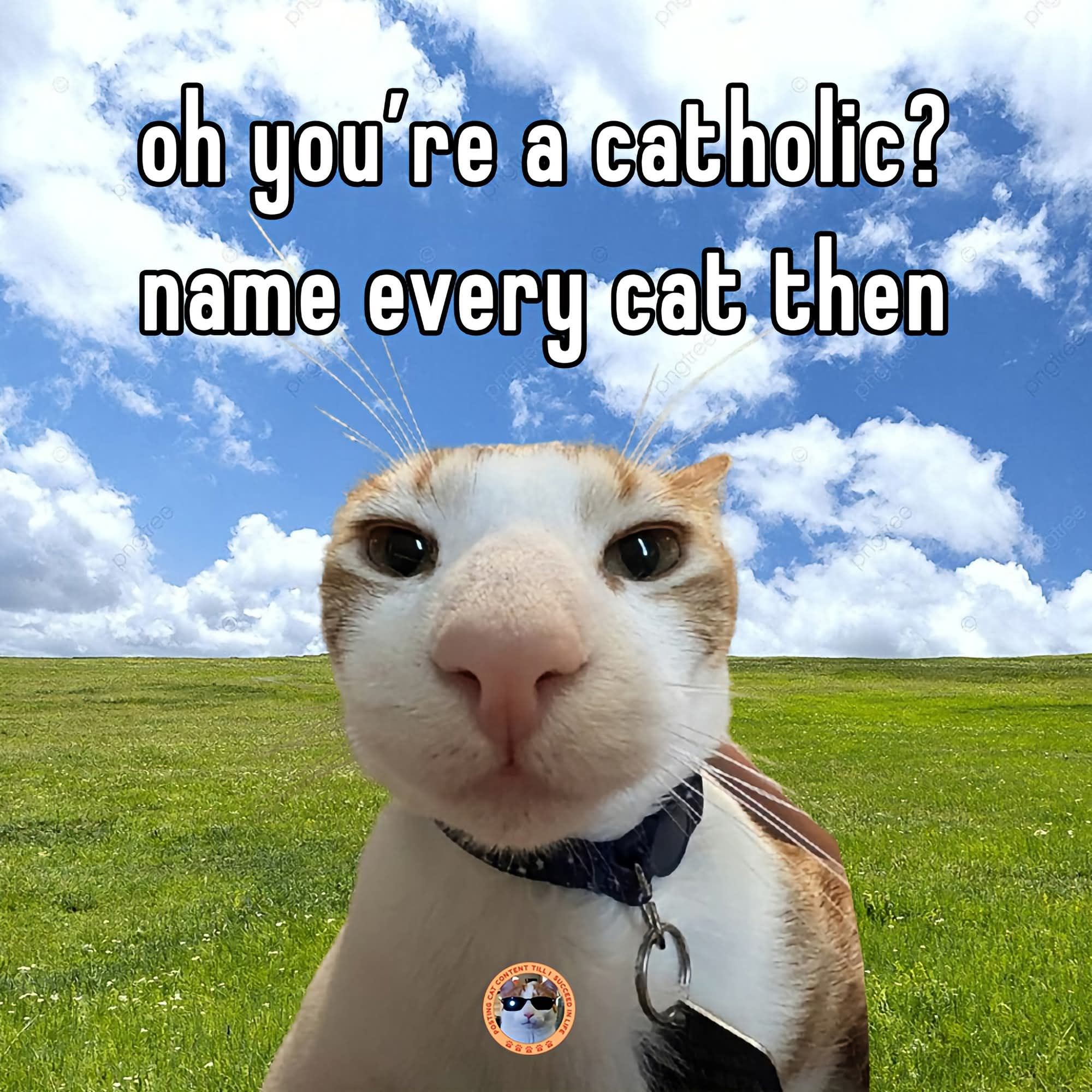***