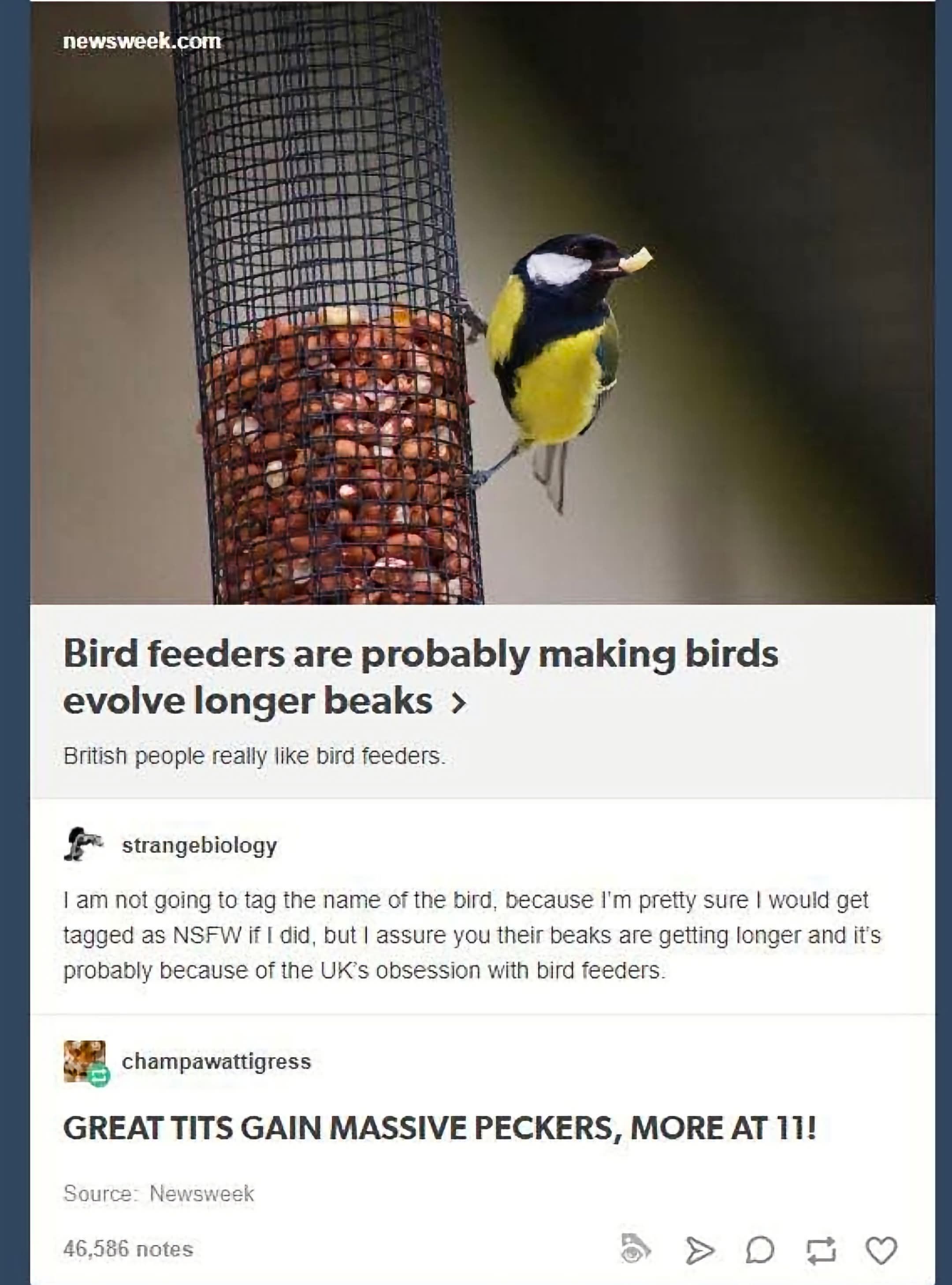 ***