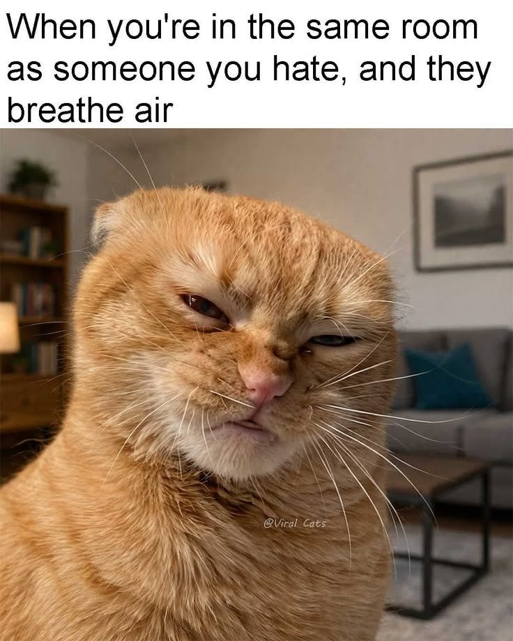 Can you not?