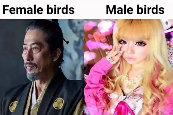 ( ʘ ᴗ ʘ ✿ )