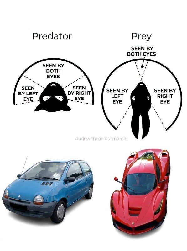 Twingo