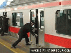 "Wait wait, I was supposed to get off here"