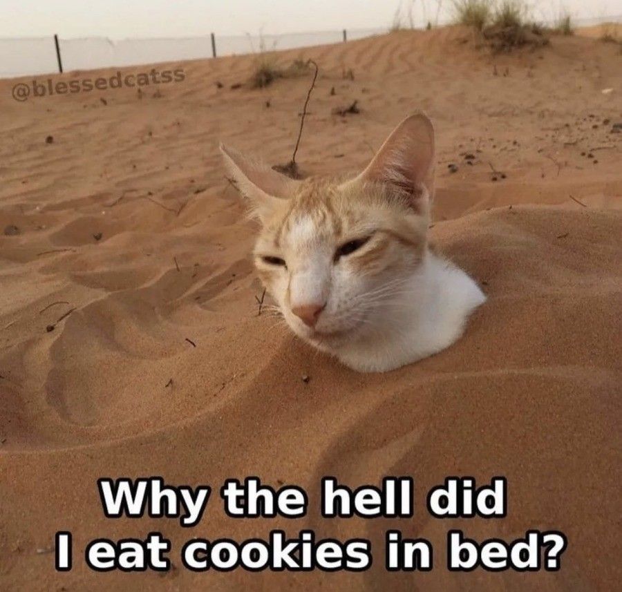 i hate sand