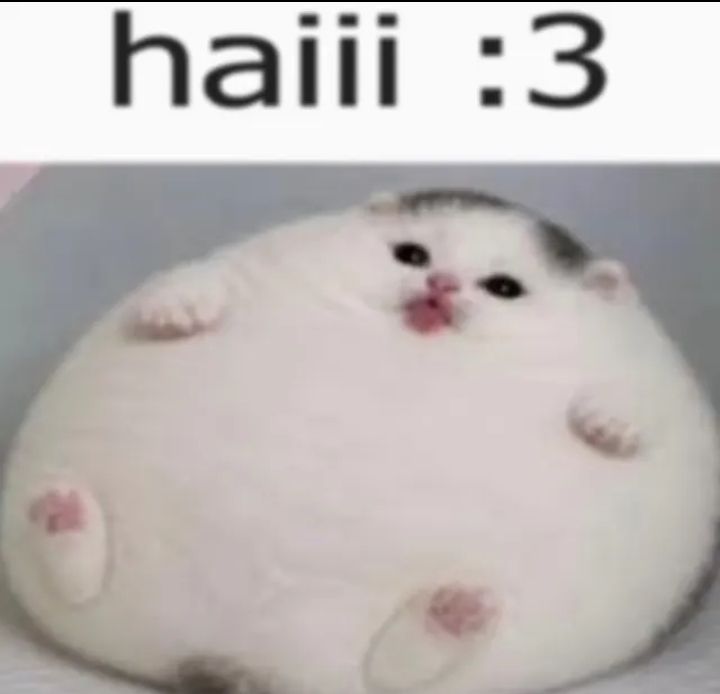 GM! :3