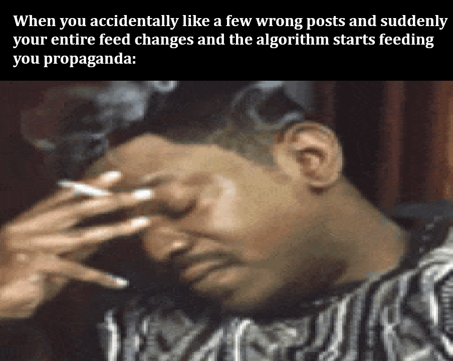 I find some Charlie Kirk memes funny and suddenly Twitter thinks I'm a Lindsay Clancy supporter