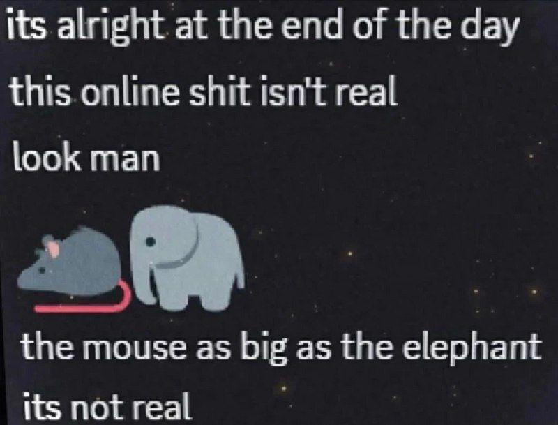 chat is this real?