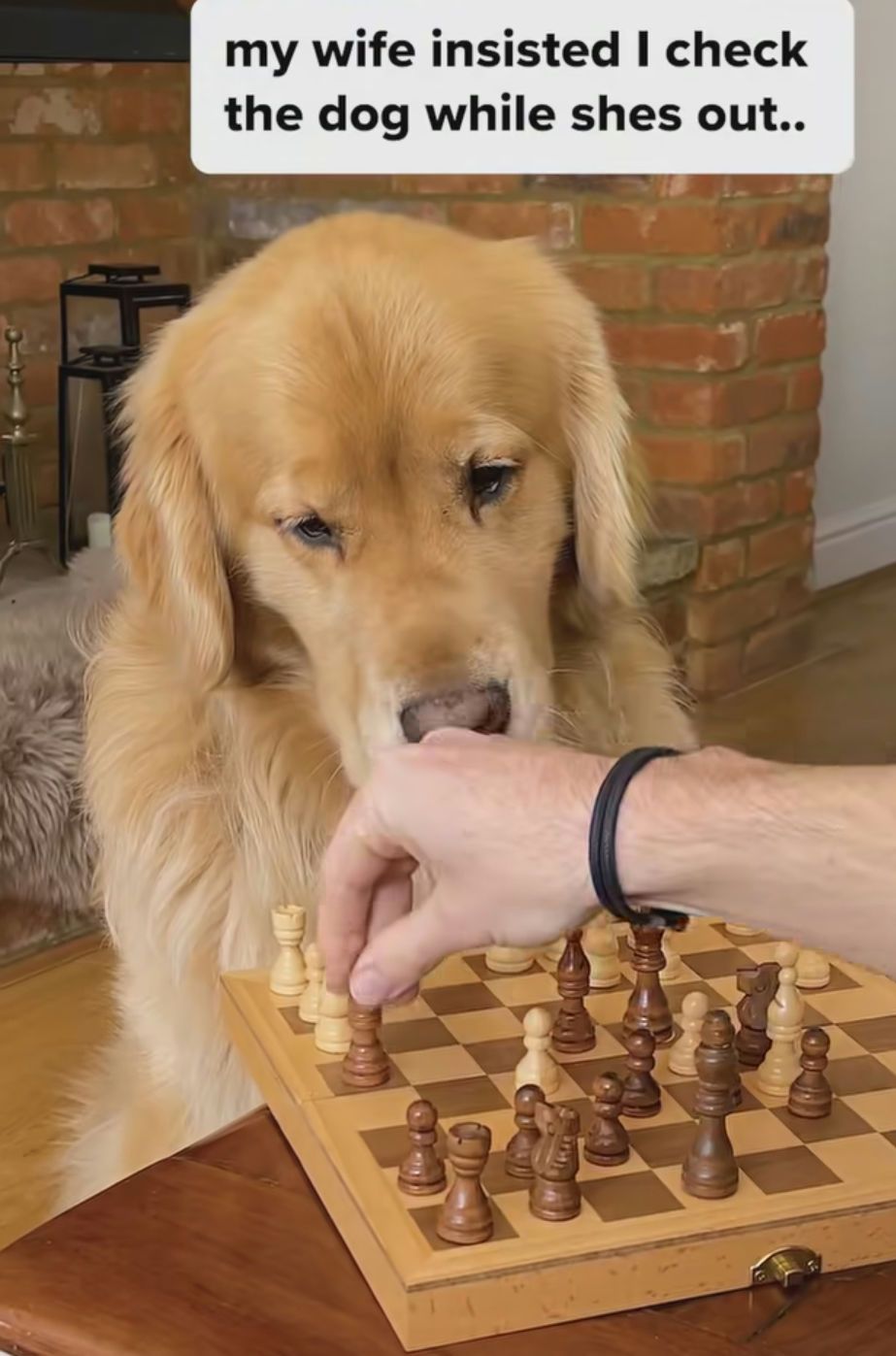 Check mate