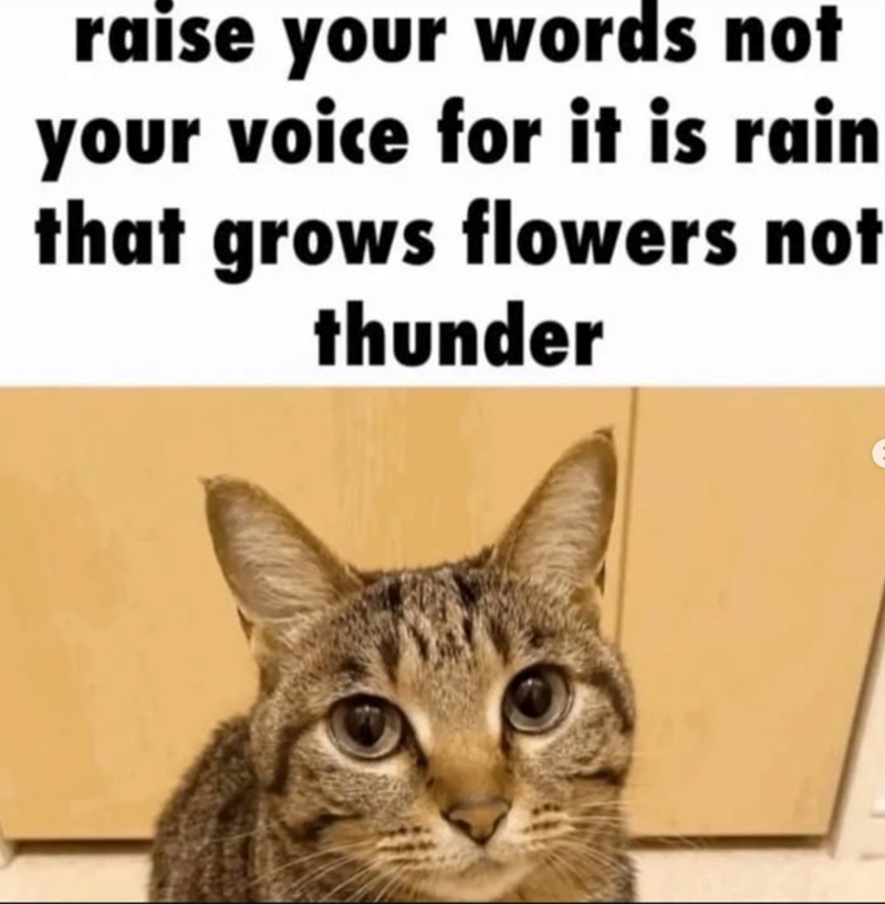 There is no rain without thunder