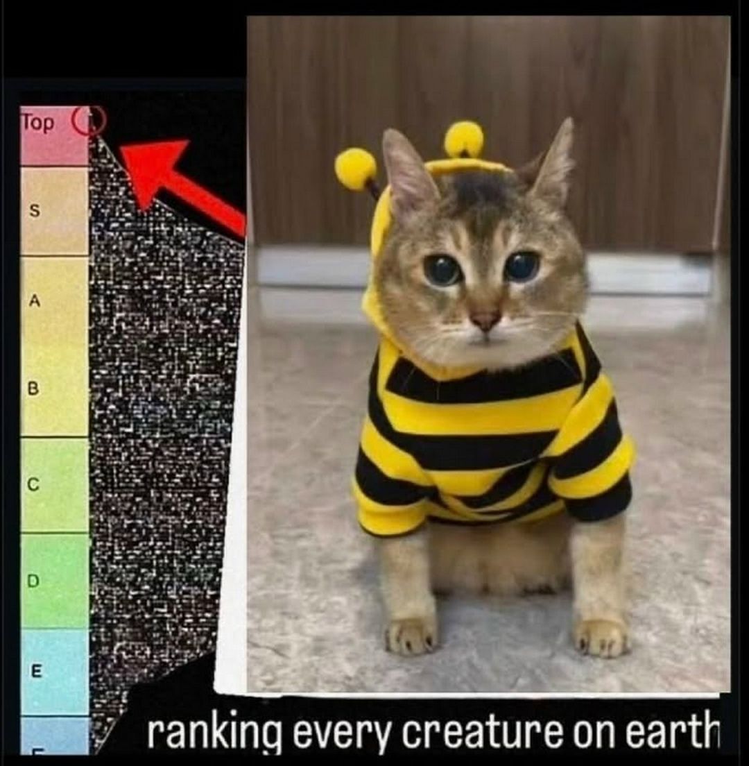 ngl the Grischnakhh-bee-suit stays on during sex