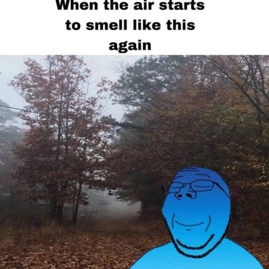 gn.